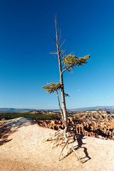 Sécheresse et érosion à Bryce Canyon national park, Utah, USA
