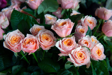 Bouquet of fresh roses.