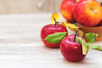 Autumn harvest red apples fruits on a light gray wooden table background.