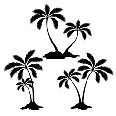 Vector Palm Set