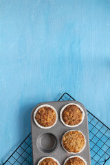 Fresh baked muffins on bright blue background