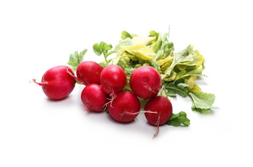 Fresh red radishes with leaves isolated on white background