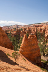 landscape on the bryce canyon in the united states of america