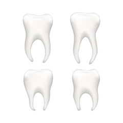 Set of bright realistic human teeths isolated on white