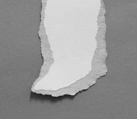 torn paper