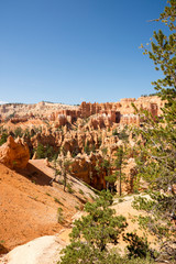 landscape on the bryce canyon in the united states of america