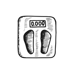 bathroom scales for weighing vector icon. sketch isolated object