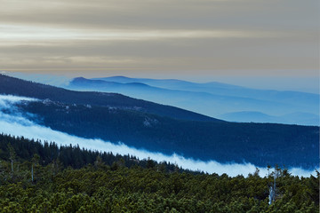 Clouds and fog over the coniferous forest in the mountains in Giant Mountains in Poland.