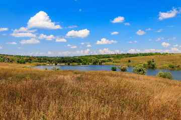 Obraz premium Summer landscape with beautiful lake, green meadows, hills, trees and blue sky