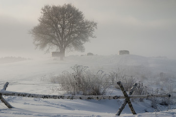 zimowa mgła © qrrr