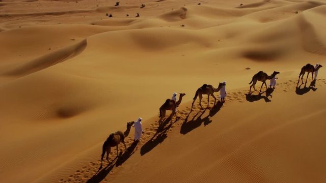 Aerial drone of Middle Eastern male camel owners in desert convoy