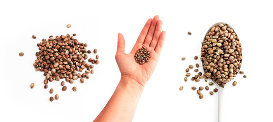 Cannabis seeds in hand, isolated on white background. Marijuana grains in a spoon, herbal treatment, seeds in a pile.