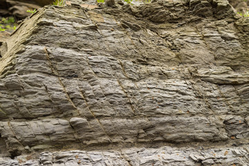Surface of the rock. Selective focus.