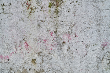 Old gray stone wall with green moss texture background