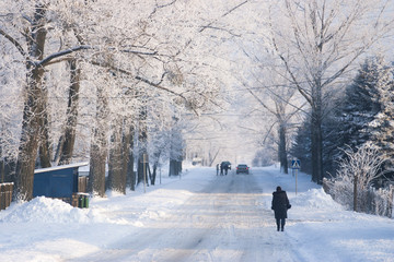 zimowa wiejska droga - obrazy, fototapety, plakaty