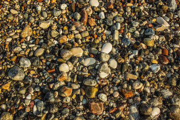 sea shore colorful stones background texture 