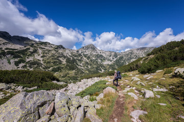 Fototapeta na wymiar Summer mountain hiking / Rear view of a man with a backpack hiking in the summer mountain