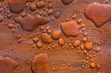 Beads of water on a wooden background