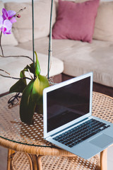 
Laptop and a vase with an orchid stand on a coffee table, workplace at home, freelance, blogger, marketing, a sofa with pillows on the background, it is cozy to work