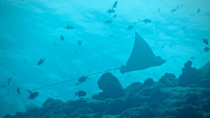 Around.Travel Maldives 2018