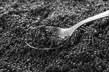 Spoon with delicious black caviar, closeup