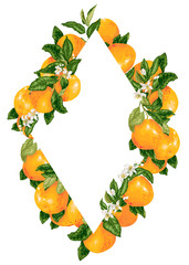 Vector rhombus frame decoration with citrus grapefruit and pomelo branches