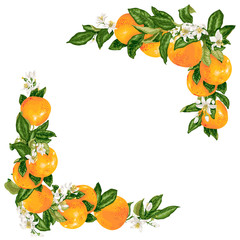 Vector grapefruit branches in a frame decoration
