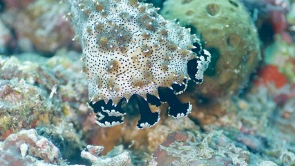 Around.Travel Maldives 2018