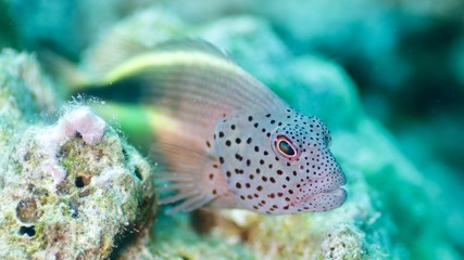 Around.Travel Maldives 2018