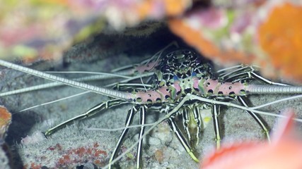 Around.Travel Maldives 2018