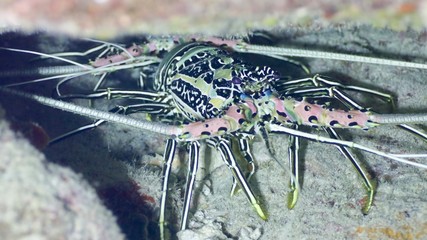 Around.Travel Maldives 2018