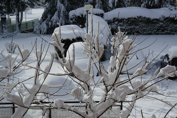 Paesaggio innevato a Avellino