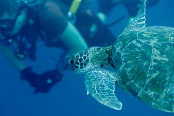 Obraz premium Around.Travel Maldives 2018