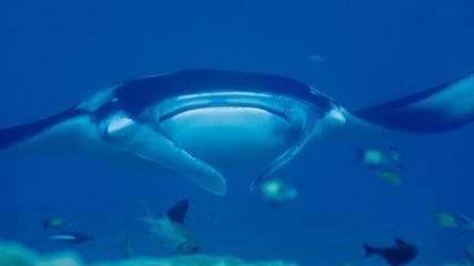 Around.Travel Maldives 2018