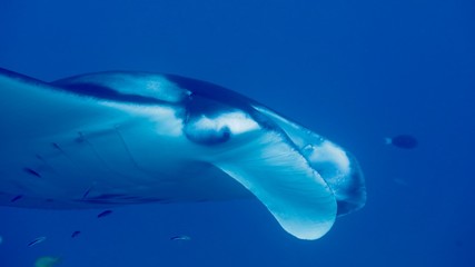 Around.Travel Maldives 2018