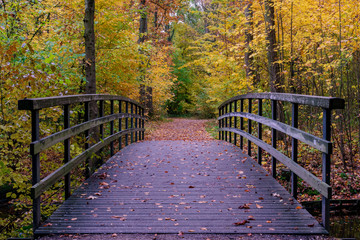 walkway in a park in autumn