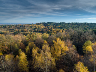 Fototapeta premium Aerial View of Autumn Forest at Sunset