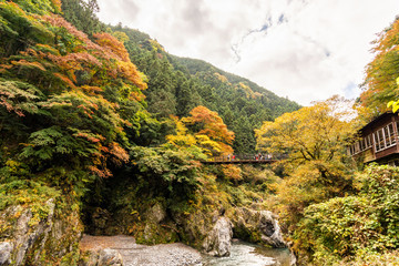 autumn in the mountains