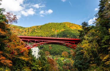 red bridge over the river
