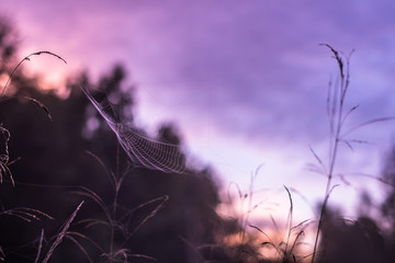 Art autumn sunny nature background