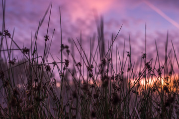 Obraz premium Art autumn sunny nature background