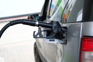 To fill car with fuel in petrol station. Pumping gasoline fuel in gray car at a gas station. Close up.