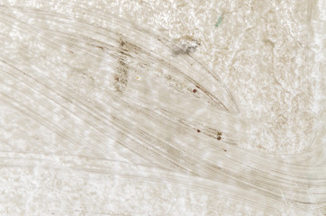 Covered greenhouse whitewashed glass, good texture, good quality.