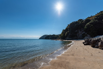Obraz premium 瀬戸内海の島の砂浜（佐島）