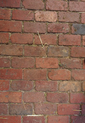 Brick path with straw on it 
