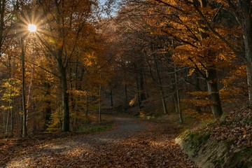 Winter Is COming Soon