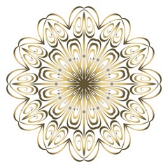 Round pattern flower mandala. circle floral ornament. Decorative illustration.