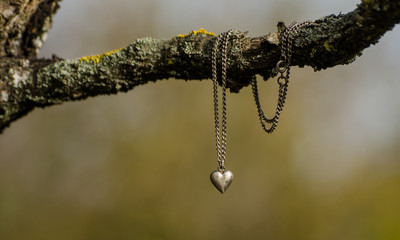 Silver heart necklace on a branch in the garden