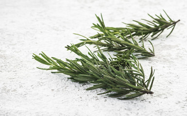 Rosemary on white background