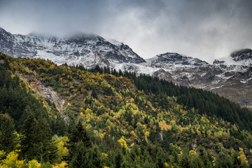 Herbstwald im Lauterbrunnental